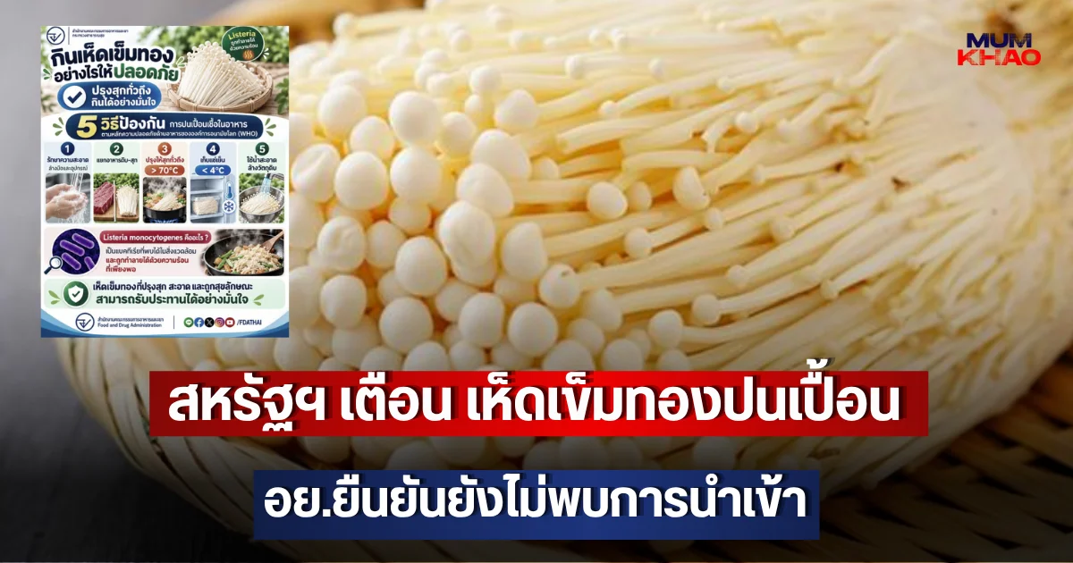 สหรัฐฯ เตือน เห็ดเข็มทองปนเปื้อน อย.ยืนยันยังไม่พบการนำเข้า