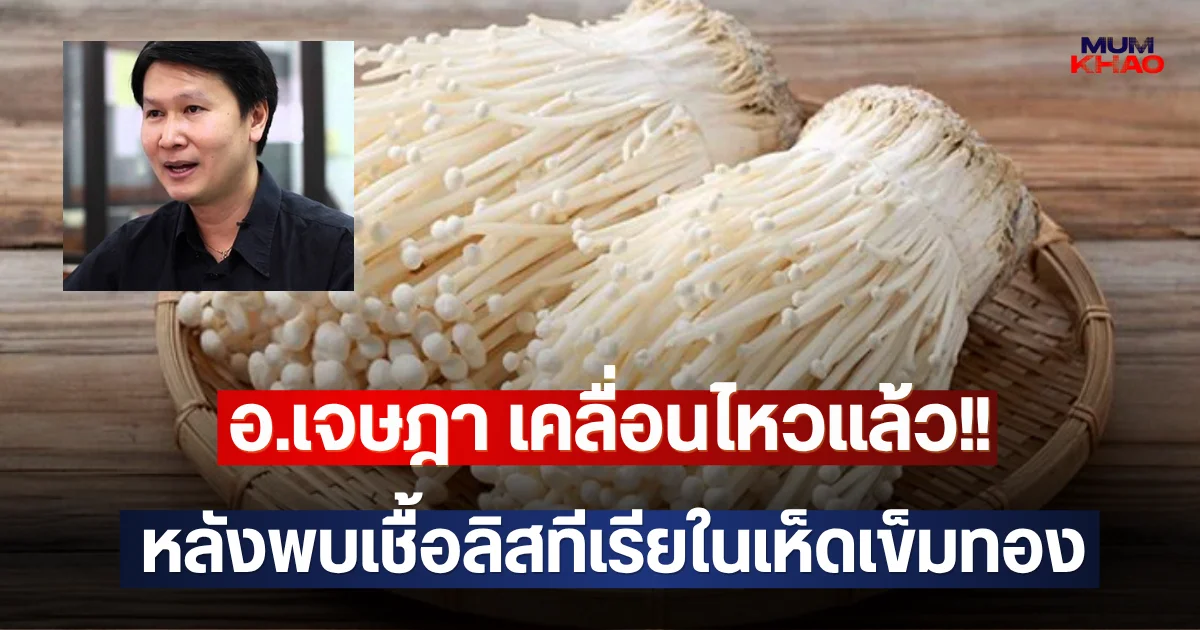 อ.เจษฎา เคลื่อนไหวแล้ว!! หลังพบเชื้อลิสทีเรียในเห็ดเข็มทอง
