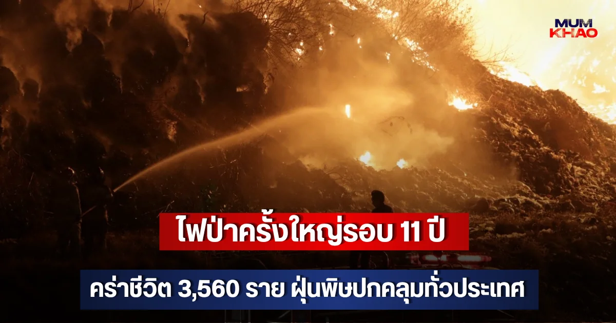 ไฟป่าครั้งใหญ่รอบ 11 ปี คร่าชีวิต 3,560 ราย ฝุ่นพิษปกคลุมทั่วประเทศ ตปท.