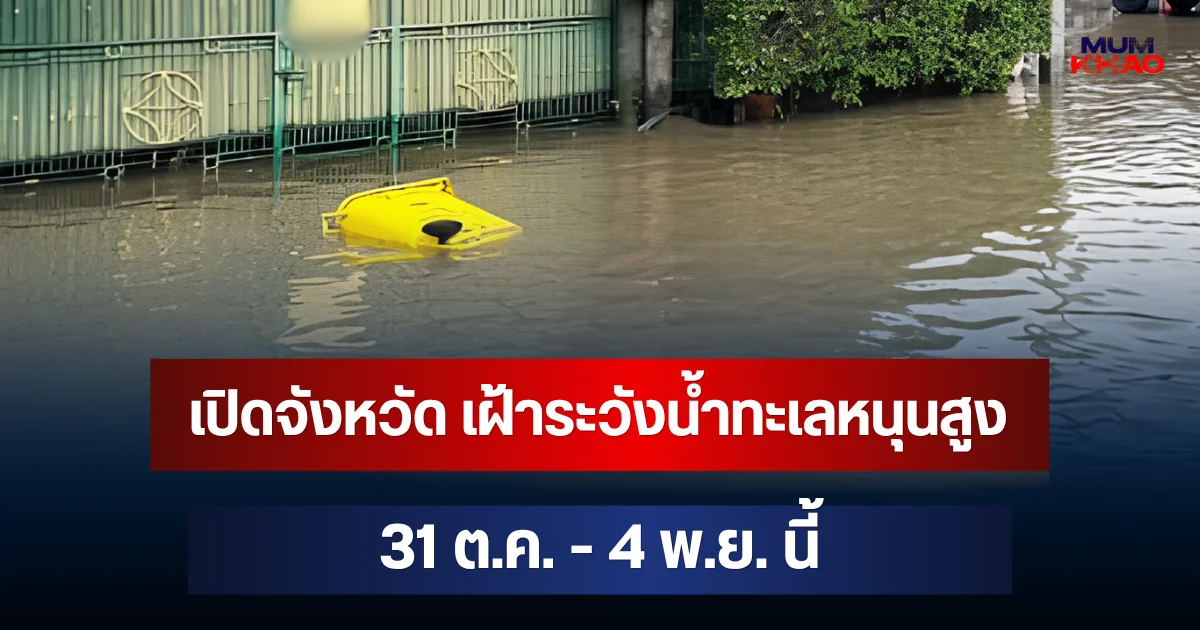 ประกาศด่วน! เปิดจังหวัด เฝ้าระวังน้ำทะเลหนุนสูง 31 ต.ค. - 4 พ.ย. นี้
